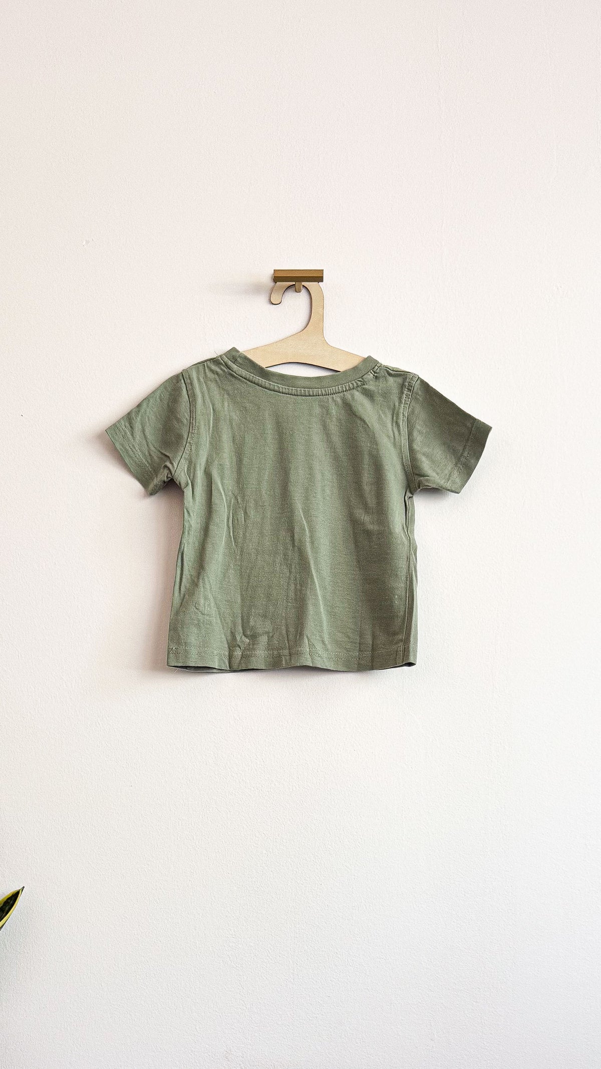 T-shirt bébé garçon 12-18 mois kaki crocodile Little Rebel
